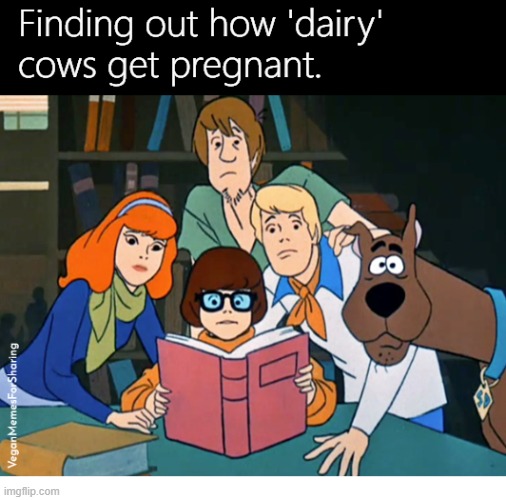 Cows' Milk is for Calves | image tagged in vegan,cheese,milk,yoghurt,dairy,cream | made w/ Imgflip meme maker