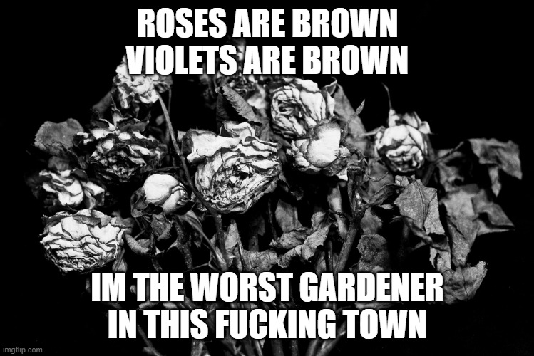 I have brown fingers without shoving it up a minors ass like a lot of you guy's in msmg do | ROSES ARE BROWN
VIOLETS ARE BROWN; IM THE WORST GARDENER IN THIS FUCKING TOWN | image tagged in dead flowers | made w/ Imgflip meme maker