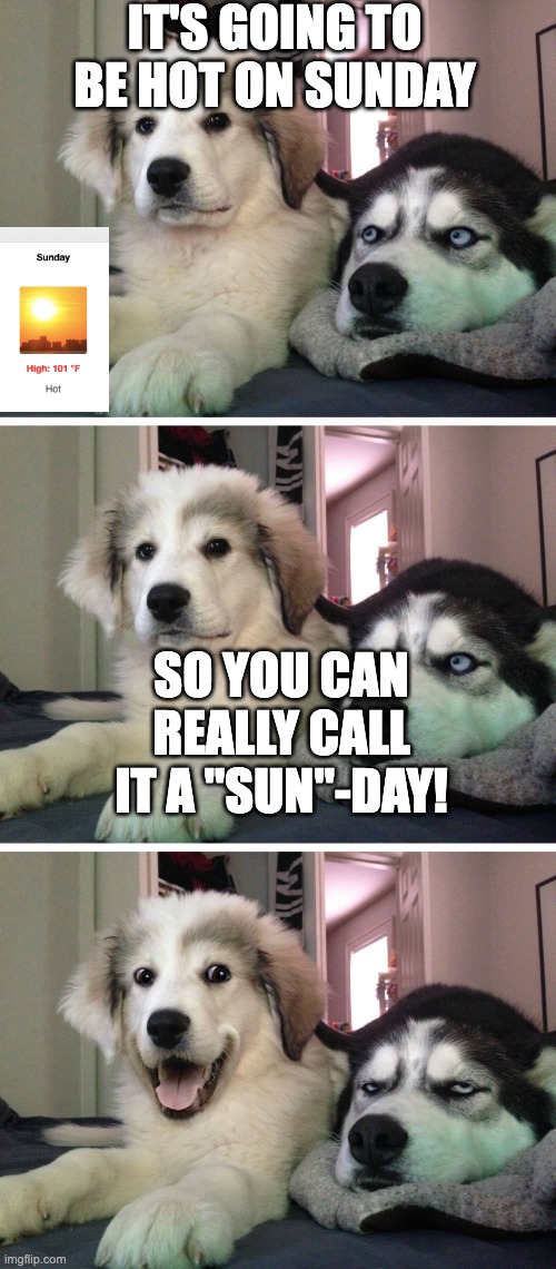 Sorry I just had this sudden urge to make this pun. | IT'S GOING TO BE HOT ON SUNDAY; SO YOU CAN REALLY CALL IT A "SUN"-DAY! | image tagged in bad pun dogs,puns,sunday,memes | made w/ Imgflip meme maker