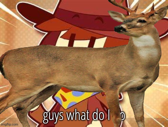 guys what do I do | made w/ Imgflip meme maker