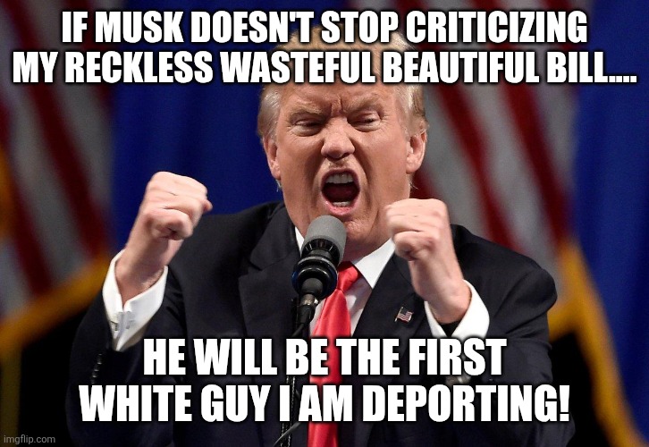 Musk deported | IF MUSK DOESN'T STOP CRITICIZING MY RECKLESS WASTEFUL BEAUTIFUL BILL.... HE WILL BE THE FIRST WHITE GUY I AM DEPORTING! | image tagged in donald trump,trump,elon musk,maga,nevertrump,trump sucks | made w/ Imgflip meme maker