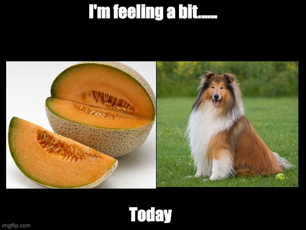 Melon Collie | I'm feeling a bit...... Today | image tagged in melons | made w/ Imgflip meme maker