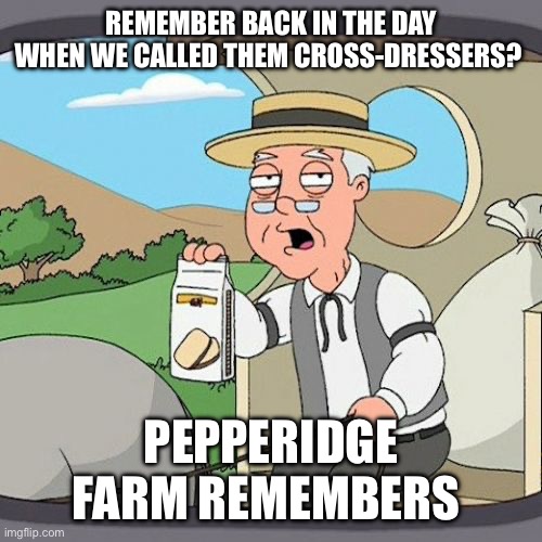 Pepperidge Farm Remembers Meme | REMEMBER BACK IN THE DAY WHEN WE CALLED THEM CROSS-DRESSERS? PEPPERIDGE FARM REMEMBERS | image tagged in memes,pepperidge farm remembers | made w/ Imgflip meme maker