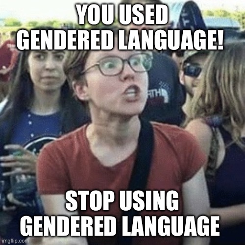 Gender outrage | YOU USED GENDERED LANGUAGE! STOP USING GENDERED LANGUAGE | image tagged in gender outrage | made w/ Imgflip meme maker