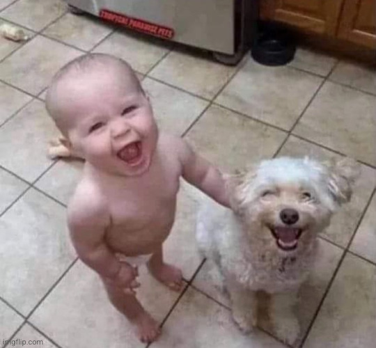 image tagged in partners in crime | made w/ Imgflip meme maker