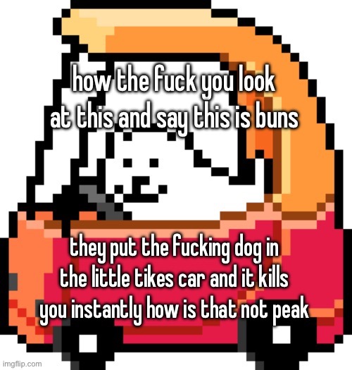 how the fuck you look at this and say this is buns; they put the fucking dog in the little tikes car and it kills you instantly how is that not peak | made w/ Imgflip meme maker