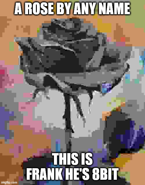 A rose by a name | A ROSE BY ANY NAME; THIS IS FRANK HE'S 8BIT | image tagged in antifa,come,see,frank,the,rose | made w/ Imgflip meme maker