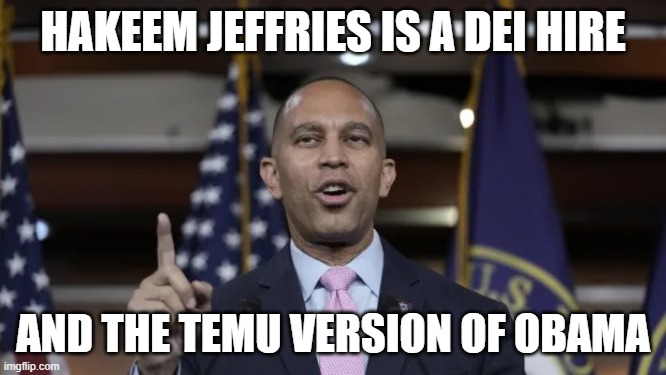 Hakeem Jeffries | HAKEEM JEFFRIES IS A DEI HIRE AND THE TEMU VERSION OF OBAMA | image tagged in hakeem jeffries | made w/ Imgflip meme maker