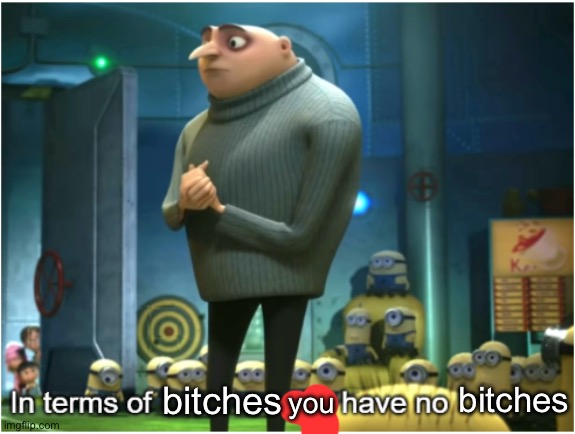 No bitches | bitches; bitches; you | image tagged in in terms of we have no | made w/ Imgflip meme maker