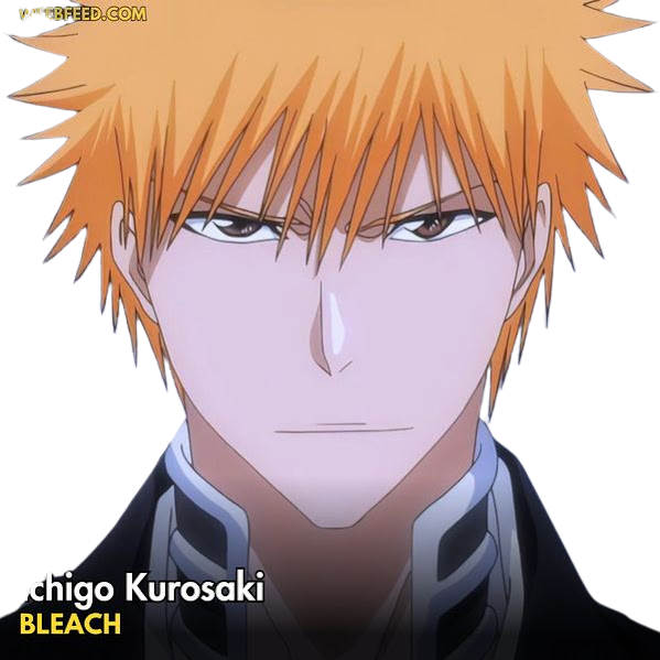 ichigo kurosaki Blank Meme Template
