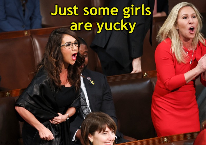 Lauren Boebert Marjorie Taylor Greene | Just some girls 
are yucky | image tagged in lauren boebert marjorie taylor greene | made w/ Imgflip meme maker