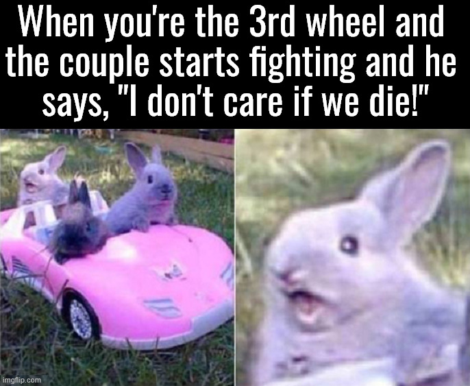 Be careful when you are the 3rd wheel | When you're the 3rd wheel and 
the couple starts fighting and he 
says, "I don't care if we die!" | image tagged in dark humor | made w/ Imgflip meme maker