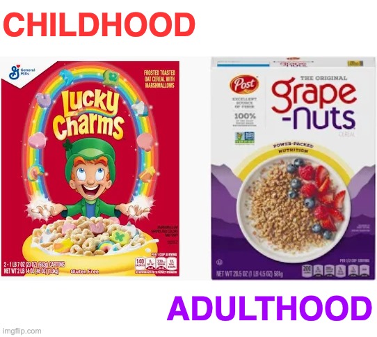 Life Cereal | CHILDHOOD; ADULTHOOD | image tagged in cereal,metaphor,childhood,adulthood,sweet,crunchy | made w/ Imgflip meme maker