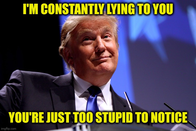 Liar in Chief | I'M CONSTANTLY LYING TO YOU; YOU'RE JUST TOO STUPID TO NOTICE | image tagged in donald trump no2 | made w/ Imgflip meme maker