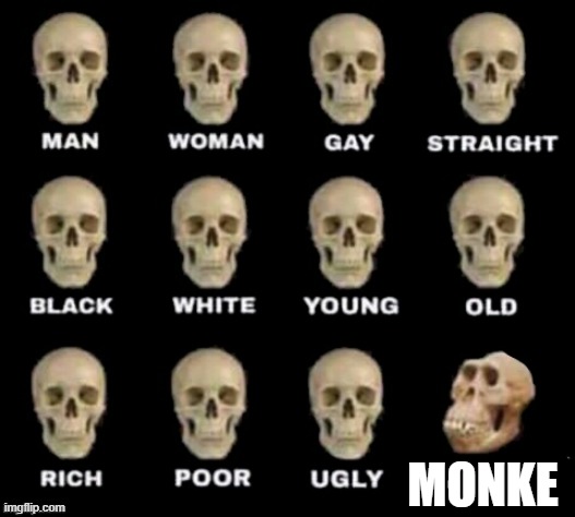 idiot skull | MONKE | image tagged in idiot skull | made w/ Imgflip meme maker