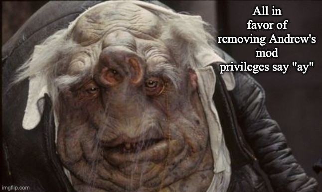 yay i can finally post again | All in favor of removing Andrew's mod privileges say "ay" | image tagged in shrek with down syndrome | made w/ Imgflip meme maker