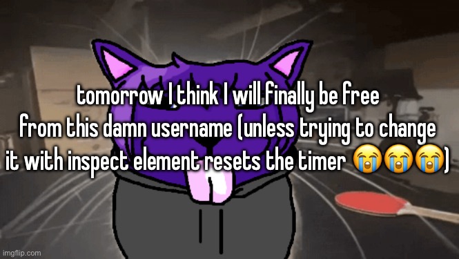 tge silly | tomorrow I think I will finally be free from this damn username (unless trying to change it with inspect element resets the timer 😭😭😭) | image tagged in tge silly | made w/ Imgflip meme maker