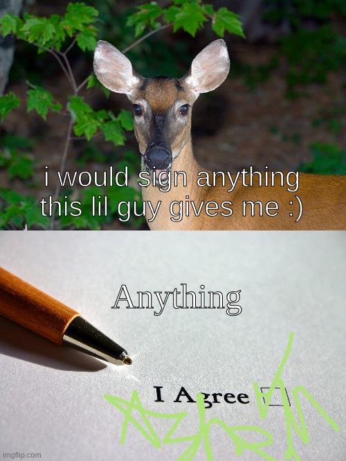 yuh | i would sign anything this lil guy gives me :); Anything | image tagged in contract | made w/ Imgflip meme maker