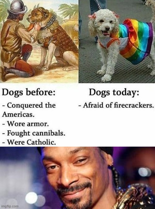 dog afraid of fireworks | image tagged in snoop dogg,dogs | made w/ Imgflip meme maker