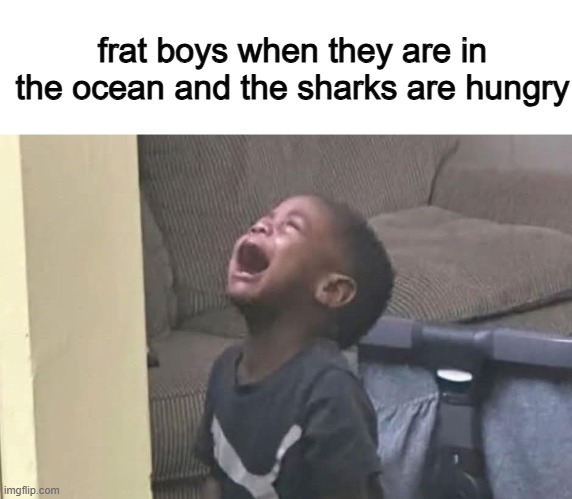 ahhhhh what was that for?! | frat boys when they are in the ocean and the sharks are hungry | image tagged in sharks,confused screaming,day at the beach | made w/ Imgflip meme maker