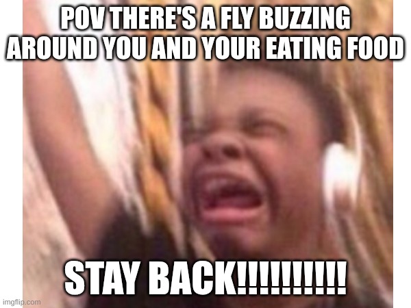 a flys buzzzzing | POV THERE'S A FLY BUZZING AROUND YOU AND YOUR EATING FOOD; STAY BACK!!!!!!!!!! | image tagged in fly,relatable memes,food,funny | made w/ Imgflip meme maker