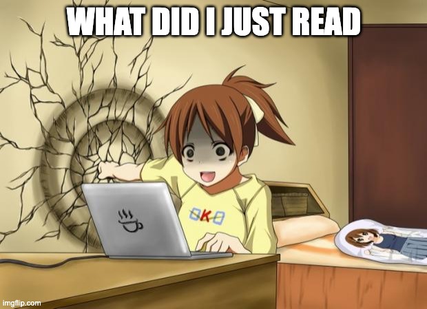 WHAT DID I JUST READ | image tagged in when an anime leaves you on a cliffhanger | made w/ Imgflip meme maker