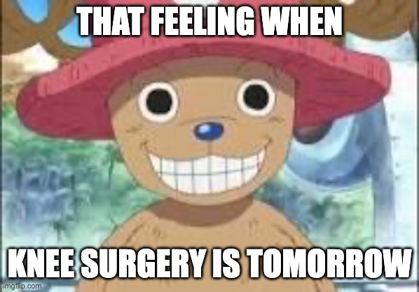 Chopper smiling | THAT FEELING WHEN KNEE SURGERY IS TOMORROW | image tagged in chopper smiling | made w/ Imgflip meme maker