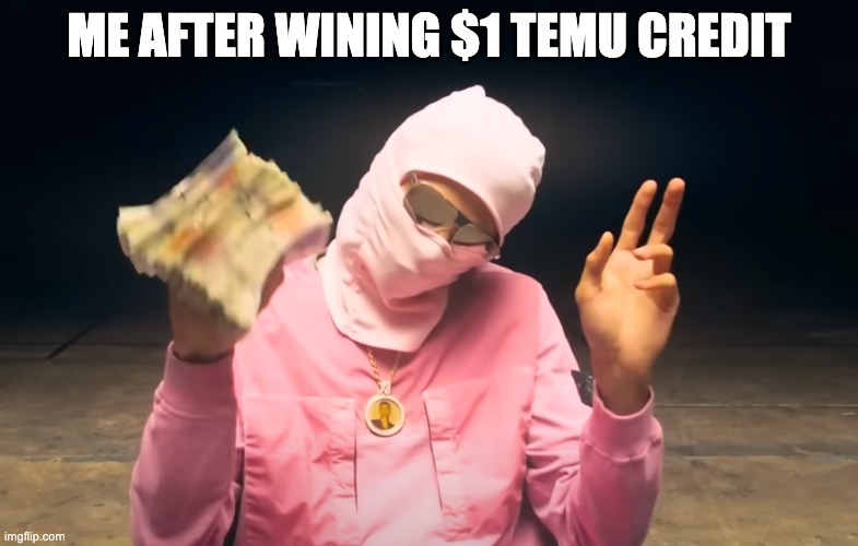Temu wealth | ME AFTER WINING $1 TEMU CREDIT | image tagged in fun | made w/ Imgflip meme maker
