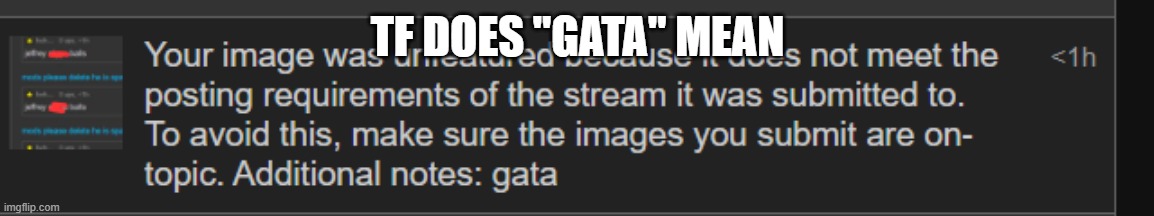 TF DOES "GATA" MEAN | made w/ Imgflip meme maker