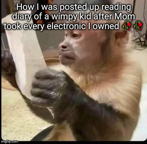 those books are still mad good tho | How I was posted up reading diary of a wimpy kid after Mom took every electronic I owned 🥀🥀 | image tagged in monkey reading,diary of a wimpy kid,so true,monkey,funny,reading | made w/ Imgflip meme maker