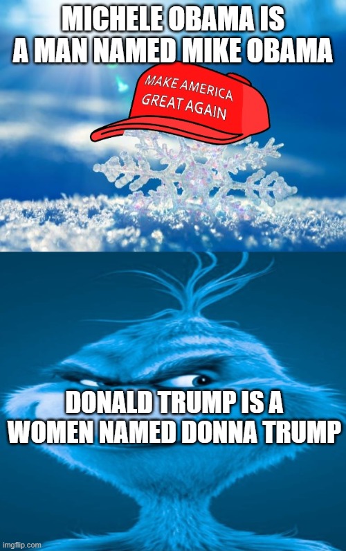 Kun-spee-rusee theories everywhere | MICHELE OBAMA IS A MAN NAMED MIKE OBAMA; DONALD TRUMP IS A WOMEN NAMED DONNA TRUMP | image tagged in maga snowflake,blue grinch,joke | made w/ Imgflip meme maker