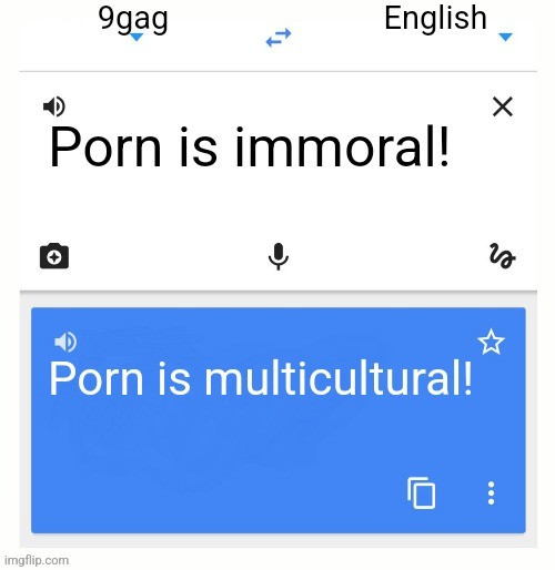 More morals and values the right doesn't really care about lulz | image tagged in google translate,virtue signalling | made w/ Imgflip meme maker