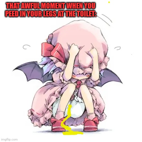 Touhou meme Remilia | THAT AWFUL MOMENT WHEN YOU PEED IN YOUR LEGS AT THE TOILET: | image tagged in memes,pee,toilet | made w/ Imgflip meme maker