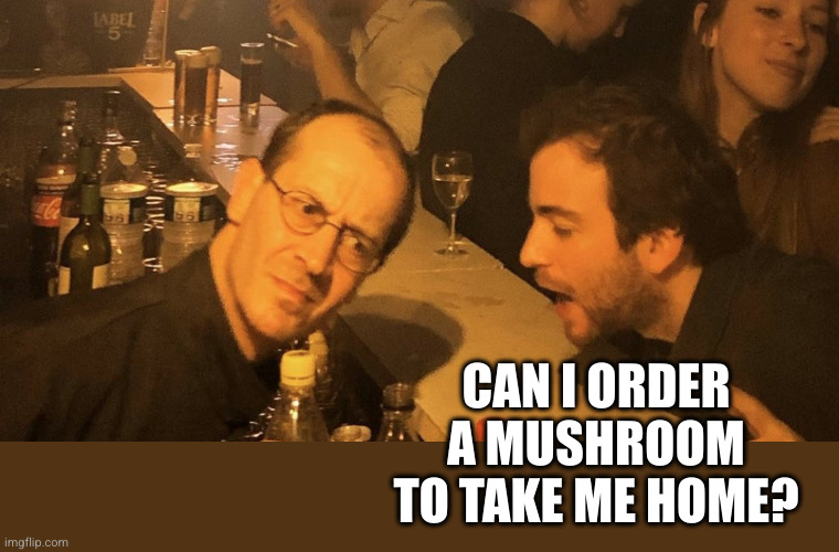 Drunk dude talking to bartender | CAN I ORDER A MUSHROOM TO TAKE ME HOME? | image tagged in drunk dude talking to bartender | made w/ Imgflip meme maker