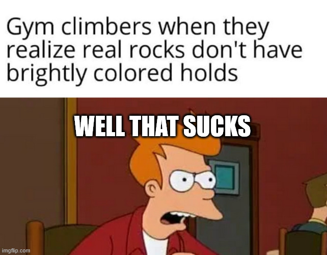 Fry the climber | WELL THAT SUCKS | image tagged in climbing,meme,lattice climbing,dark humor,futurama,climbing memes | made w/ Imgflip meme maker