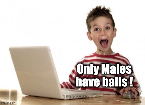 Little Boy At Computer | Only Males have balls ! | image tagged in little boy at computer | made w/ Imgflip meme maker