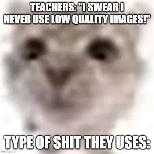 teachers be like: | TEACHERS: "I SWEAR I NEVER USE LOW QUALITY IMAGES!"; TYPE OF SHIT THEY USES: | image tagged in memes,teacher | made w/ Imgflip meme maker