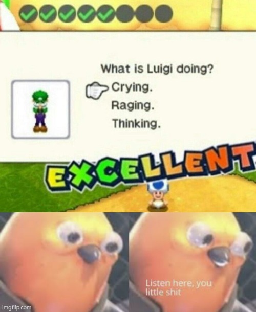 The right answer? Yes. Excellent? No! | image tagged in listen here you little shit bird,luigi | made w/ Imgflip meme maker