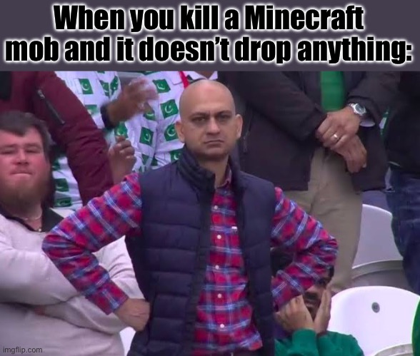 General disappointment | When you kill a Minecraft mob and it doesn’t drop anything: | image tagged in disappointed man | made w/ Imgflip meme maker