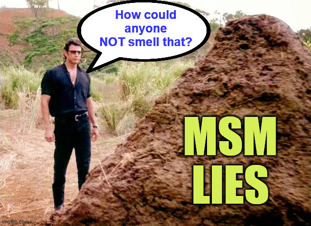 You have to be totally senseless not to have reckonized the MSM lies | MSM LIES How could anyone NOT smell that? | image tagged in msm,lies,blatantly obvious | made w/ Imgflip meme maker