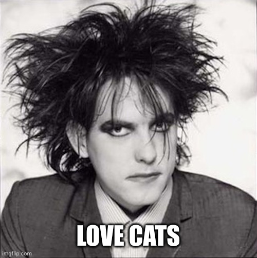 Robert Smith | LOVE CATS | image tagged in robert smith | made w/ Imgflip meme maker