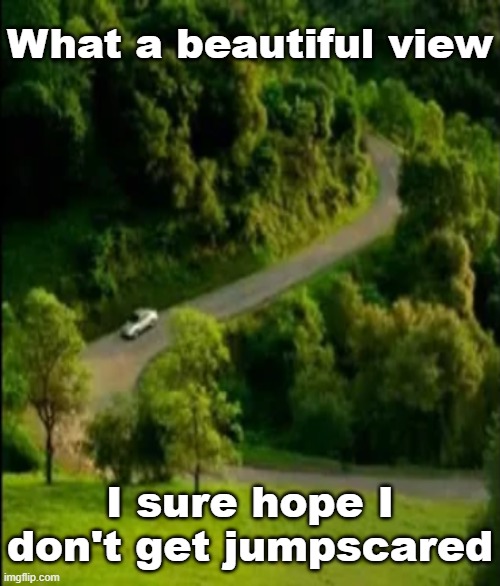What a beautiful view; I sure hope I don't get jumpscared | made w/ Imgflip meme maker