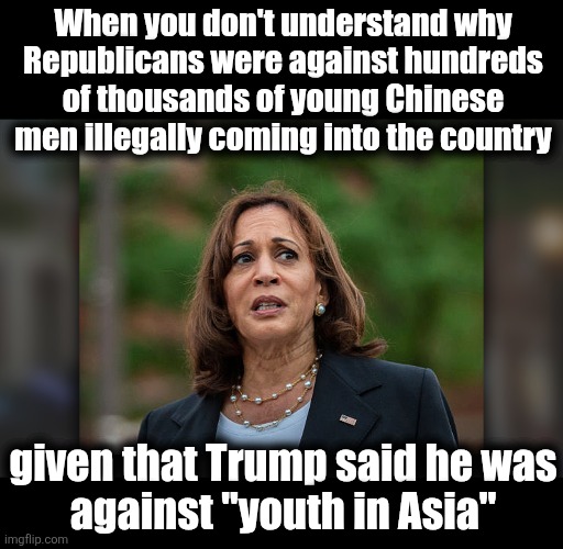 diversity hyena euthanasia joke | When you don't understand why
Republicans were against hundreds
of thousands of young Chinese
men illegally coming into the country; given that Trump said he was
against "youth in Asia" | image tagged in memes,euthanasia,kamala harris,diversity hyena,democrats,chinese illegal immigrants | made w/ Imgflip meme maker