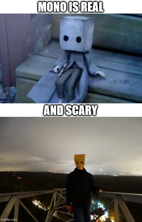 The real Mono is scary | MONO IS REAL; AND SCARY | image tagged in little nightmares,gaming,lattice climbing,creepypasta,mono,bagheadclimber | made w/ Imgflip meme maker