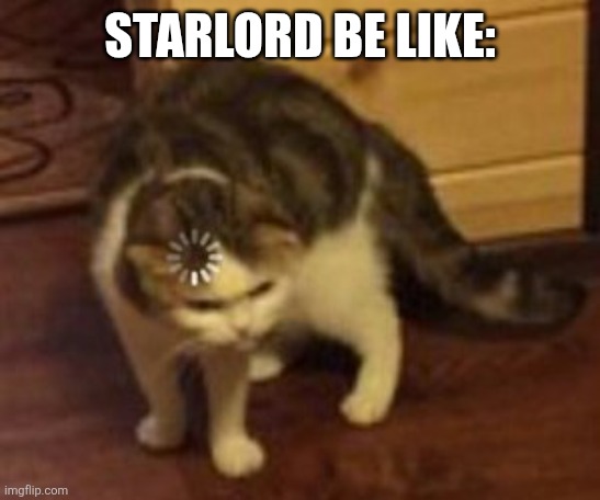 Loading cat | STARLORD BE LIKE: | image tagged in loading cat | made w/ Imgflip meme maker