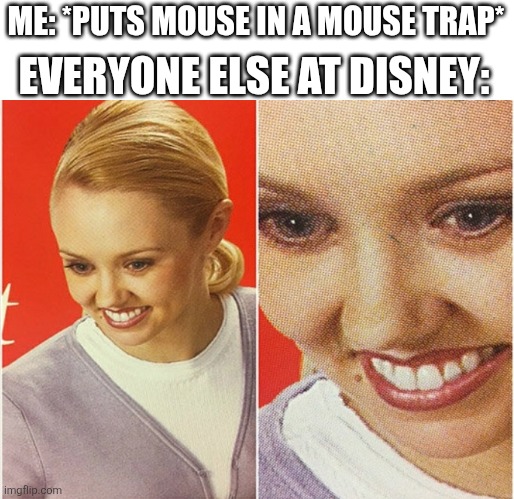 wait what | EVERYONE ELSE AT DISNEY:; ME: *PUTS MOUSE IN A MOUSE TRAP* | image tagged in wait what | made w/ Imgflip meme maker