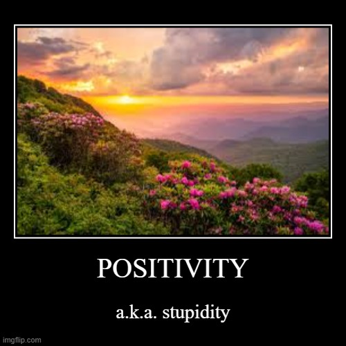 POSITIVITY | a.k.a. stupidity | image tagged in funny,demotivationals | made w/ Imgflip demotivational maker