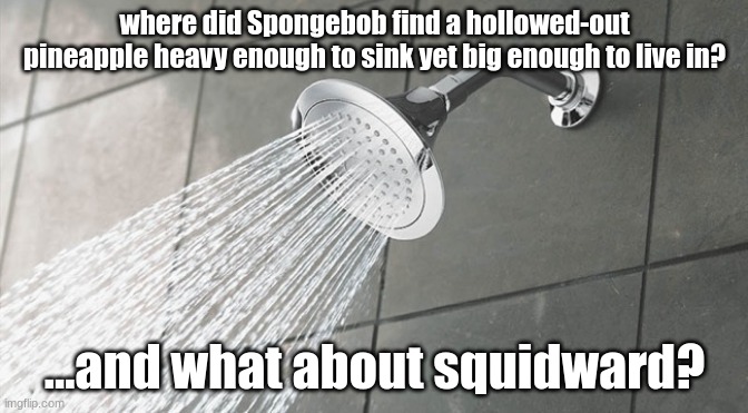 Shower Thoughts | where did Spongebob find a hollowed-out pineapple heavy enough to sink yet big enough to live in? ...and what about squidward? | image tagged in shower thoughts | made w/ Imgflip meme maker
