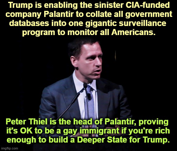Palantir is watching you. | Trump is enabling the sinister CIA-funded
 company Palantir to collate all government 
databases into one gigantic surveillance 
program to monitor all Americans. Peter Thiel is the head of Palantir, proving 

it's OK to be a gay immigrant if you're rich enough to build a Deeper State for Trump. | image tagged in peter thiel,palantir,deep state,surveillance,trump | made w/ Imgflip meme maker