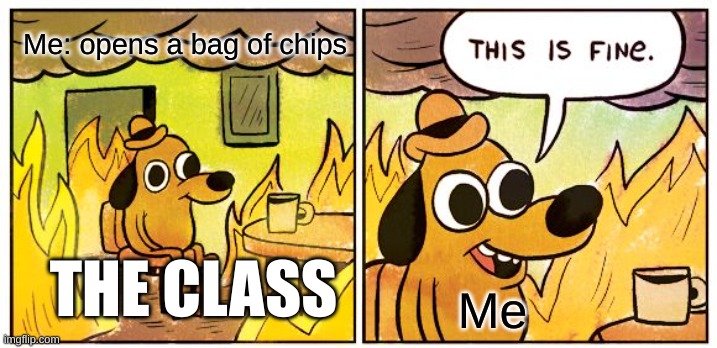 This Is Fine | Me: opens a bag of chips; THE CLASS; Me | image tagged in memes,this is fine | made w/ Imgflip meme maker